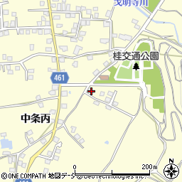 新潟県十日町市中条丙475-1周辺の地図