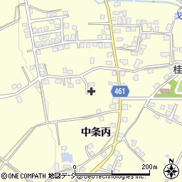 新潟県十日町市中条丙1192周辺の地図