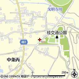 新潟県十日町市中条丙503周辺の地図