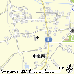 新潟県十日町市中条丙1192-3周辺の地図