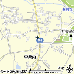 新潟県十日町市中条丙1197周辺の地図