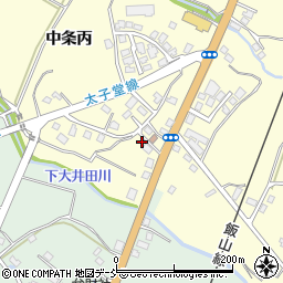 新潟県十日町市中条丙946周辺の地図