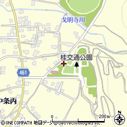 新潟県十日町市中条丙441-1周辺の地図