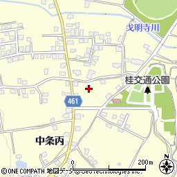新潟県十日町市中条丙499周辺の地図