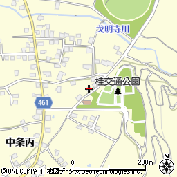 新潟県十日町市中条丙504周辺の地図