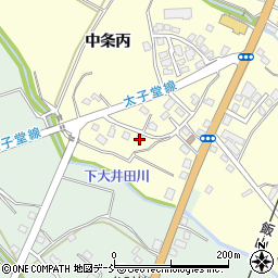 新潟県十日町市中条丙862周辺の地図