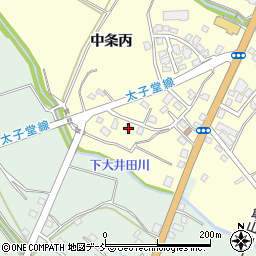 新潟県十日町市中条丙863-1周辺の地図