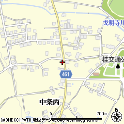 新潟県十日町市中条丙1195周辺の地図