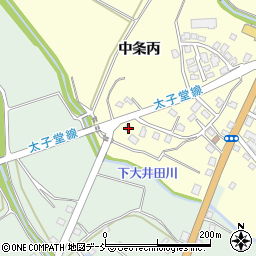 新潟県十日町市中条丙868周辺の地図