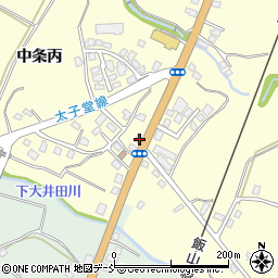 新潟県十日町市中条丙977周辺の地図