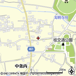 新潟県十日町市中条丙551周辺の地図
