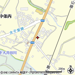 新潟県十日町市中条丙978周辺の地図
