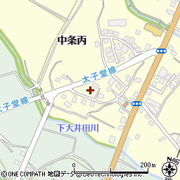 新潟県十日町市中条丙852周辺の地図