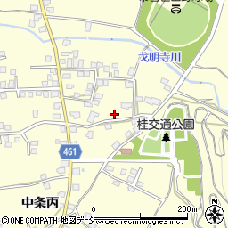 新潟県十日町市中条丙547周辺の地図