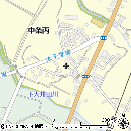 新潟県十日町市中条丙854周辺の地図