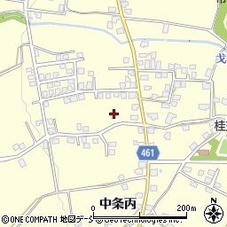 新潟県十日町市中条丙597周辺の地図