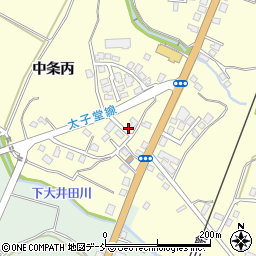 新潟県十日町市中条丙810周辺の地図