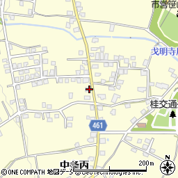 新潟県十日町市中条丙594周辺の地図