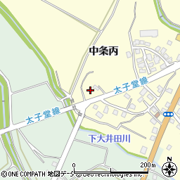 新潟県十日町市中条丙850周辺の地図