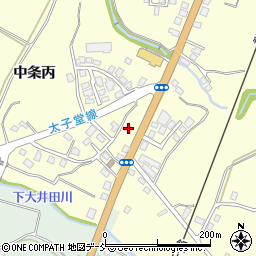新潟県十日町市中条丙981周辺の地図
