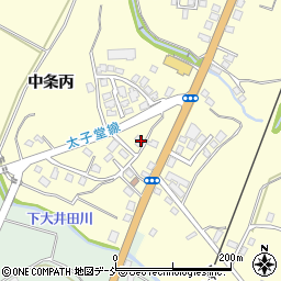 新潟県十日町市中条丙808周辺の地図