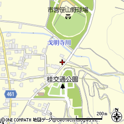 新潟県十日町市中条丙513-1周辺の地図
