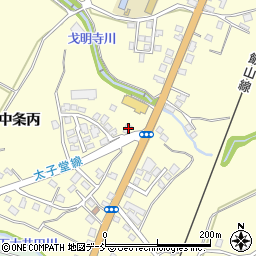 新潟県十日町市中条丙795-1周辺の地図