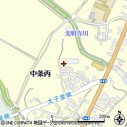 新潟県十日町市中条丙816周辺の地図