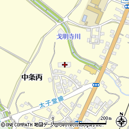 新潟県十日町市中条丙815周辺の地図