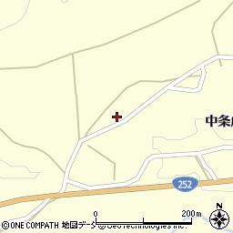 新潟県十日町市中条戊2196周辺の地図