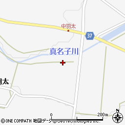 福島県西白河郡西郷村羽太梅ノ木田周辺の地図