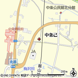 新潟県十日町市中条己2916周辺の地図