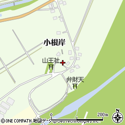 新潟県十日町市小根岸8周辺の地図