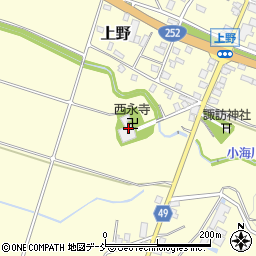 新潟県十日町市上野甲87周辺の地図