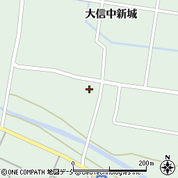 福島県白河市大信中新城村内32周辺の地図