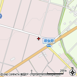 新潟県魚沼市虫野1216-3周辺の地図