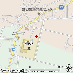 新潟県十日町市野口58周辺の地図