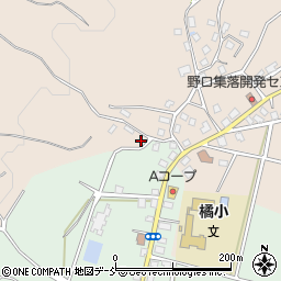 新潟県十日町市野口490周辺の地図