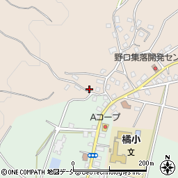新潟県十日町市野口501-1周辺の地図