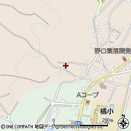 新潟県十日町市野口495周辺の地図