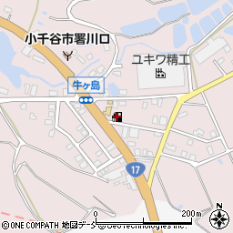 ＪＡセルフ川口ＳＳ周辺の地図