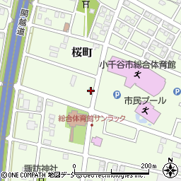 新潟県小千谷市桜町5179周辺の地図