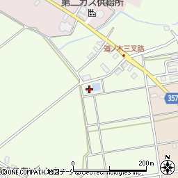 新潟県小千谷市桜町244周辺の地図
