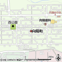 福島県須賀川市向陽町713周辺の地図