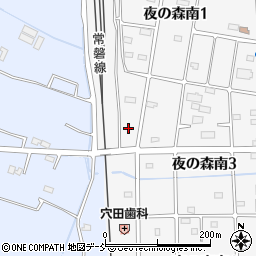 福島県双葉郡富岡町夜の森南3丁目3周辺の地図