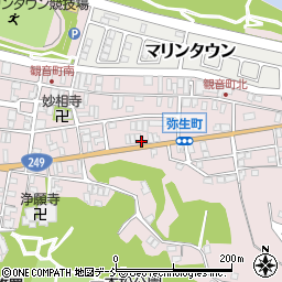 弥生町周辺の地図