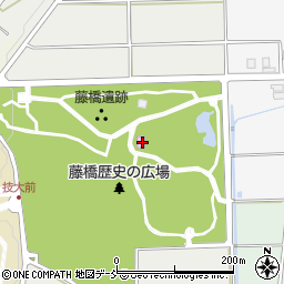 新潟県長岡市西津町4157周辺の地図
