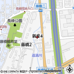 東亜道路工業株式会社　中越営業所周辺の地図