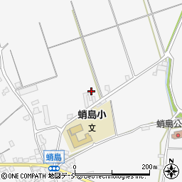 石川県珠洲市蛸島町ル周辺の地図