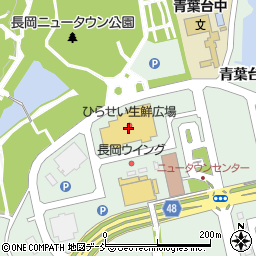ダイソーひらせい長岡ニュータウン店周辺の地図